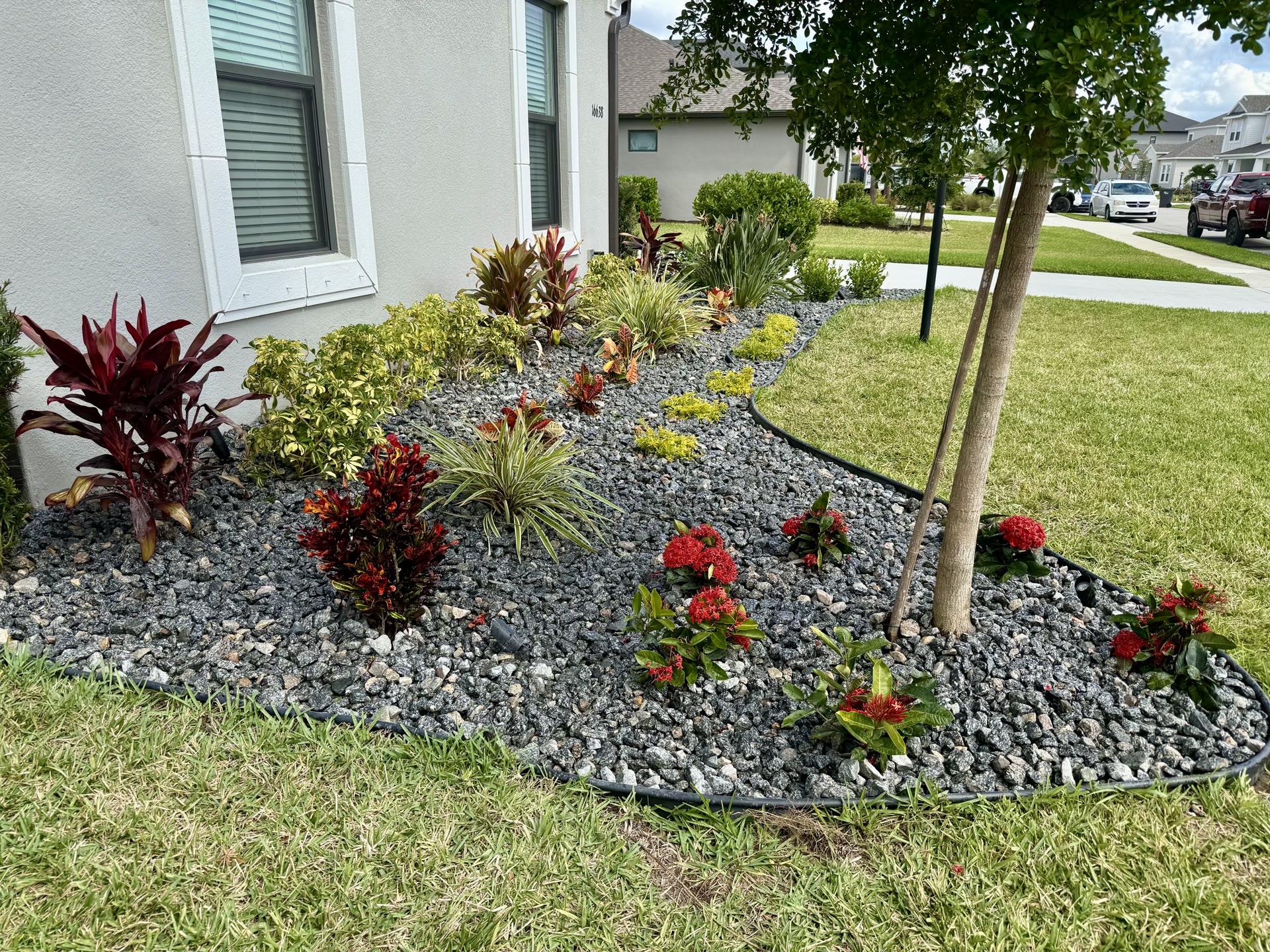 Tropical landscape bed with colorful plants and decorative rock mulch