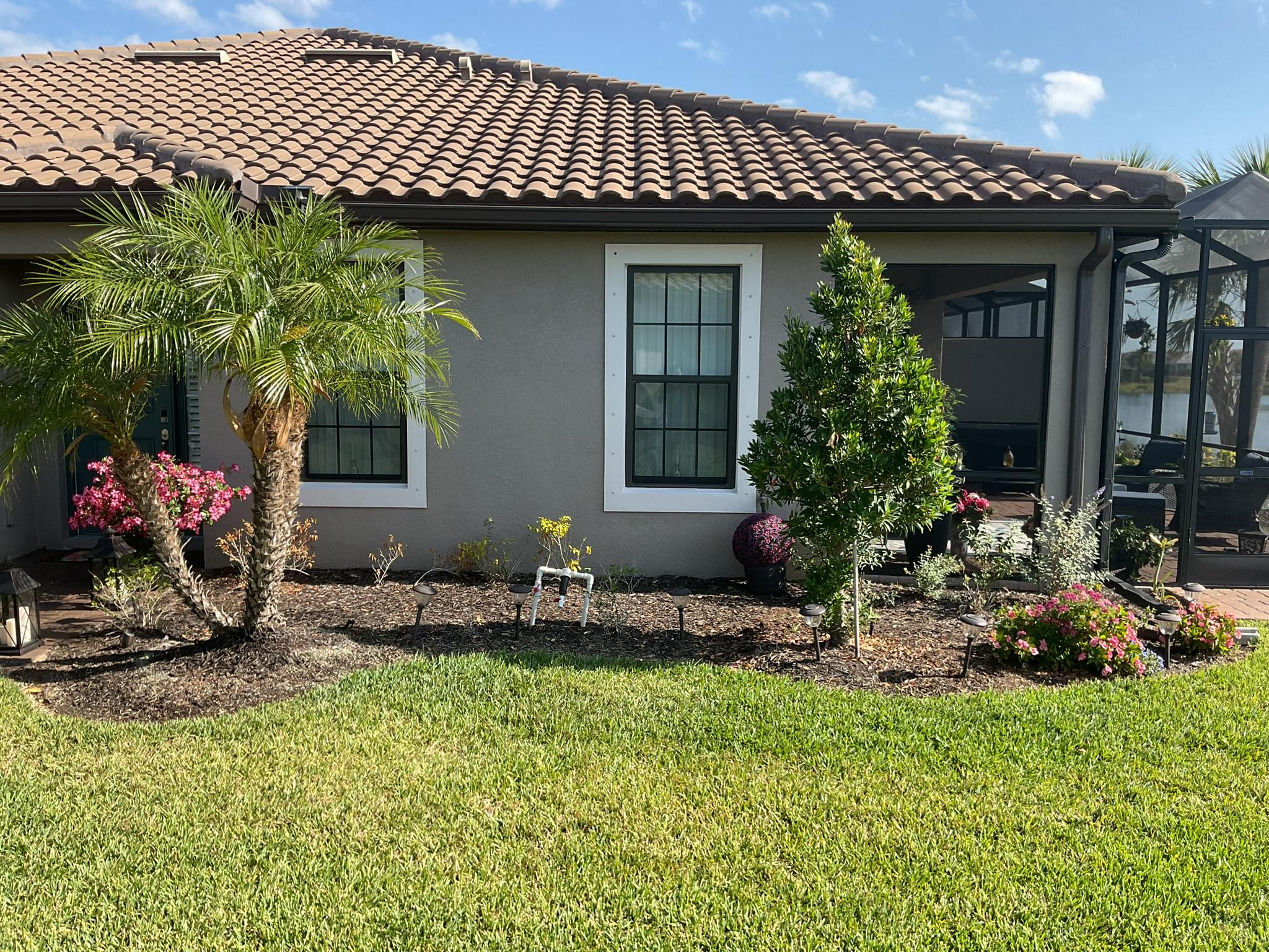Fresh landscape bed with palms and flowering shrubs next to a Florida home