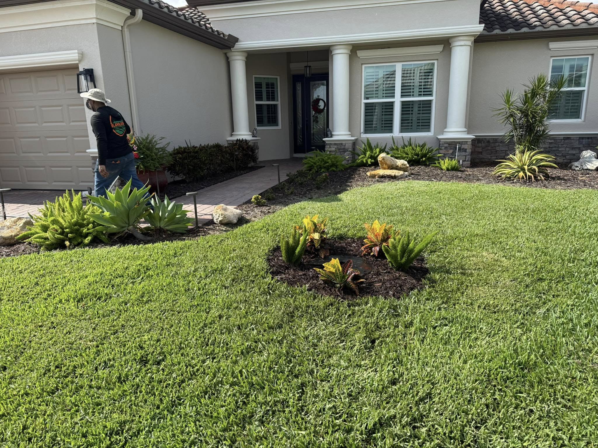 Crew member installing bromeliads and tropical plants in fresh front yard beds