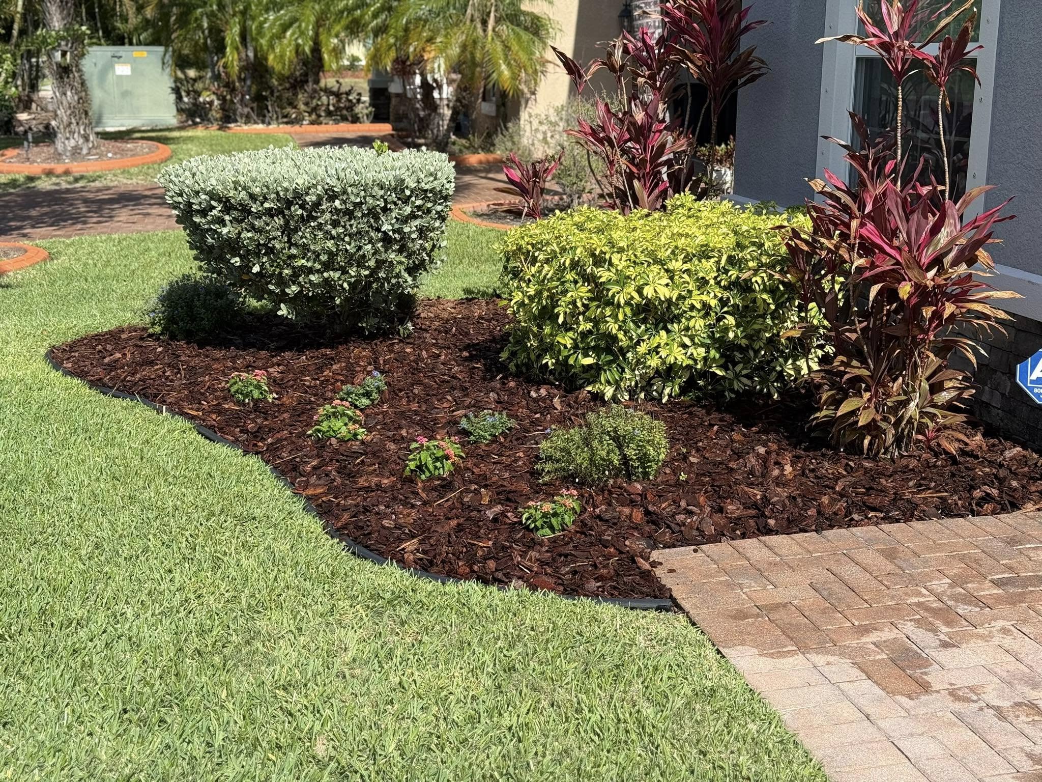 Manicured landscape bed with trimmed shrubs and mulch next to a paver driveway