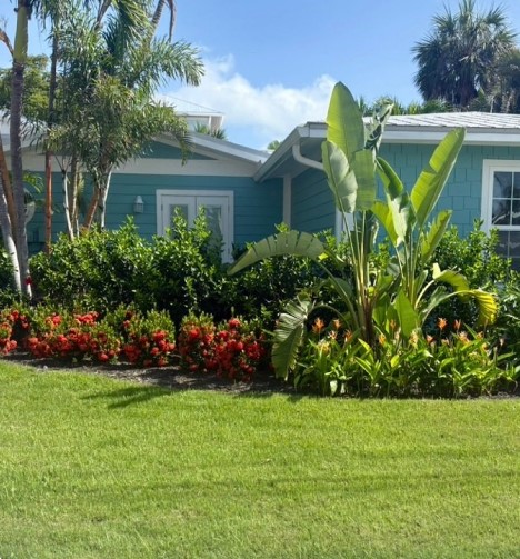 Lush tropical landscaping with banana plants, palms, and red flowers at a coastal home